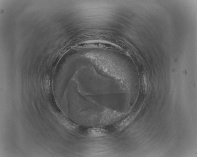 X0000074260372200609151807