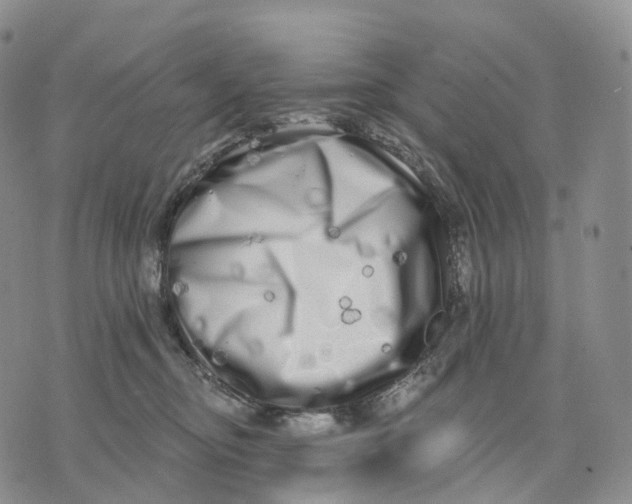 X0000074260374200609151807