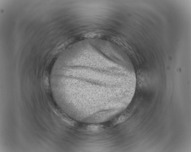 X0000074260375200609151807