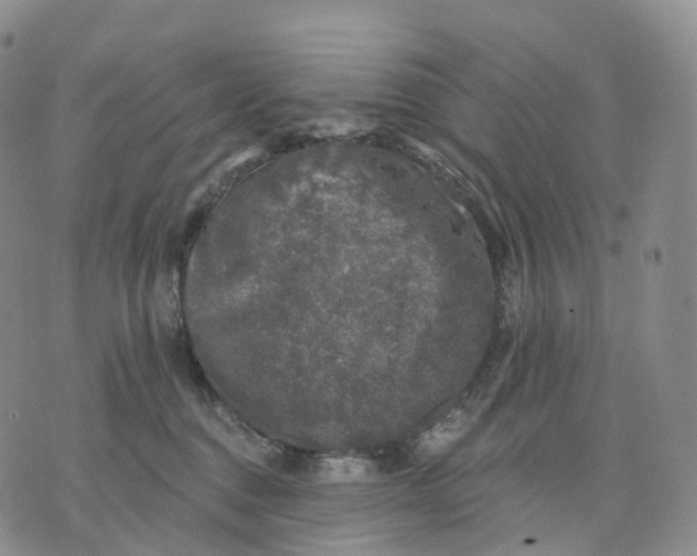 X0000074260376200609151807