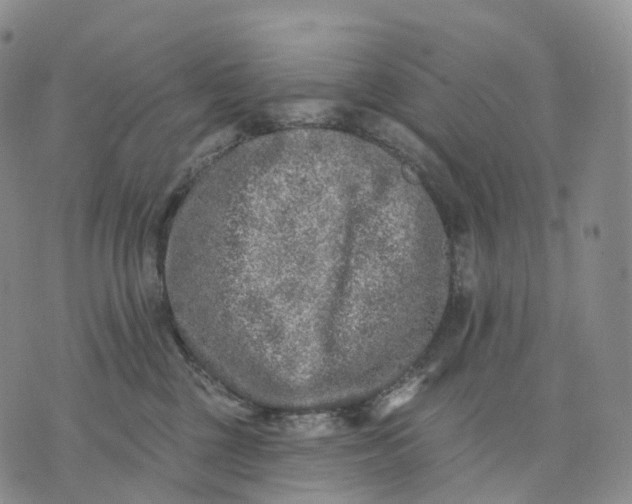 X0000074260377200609151807