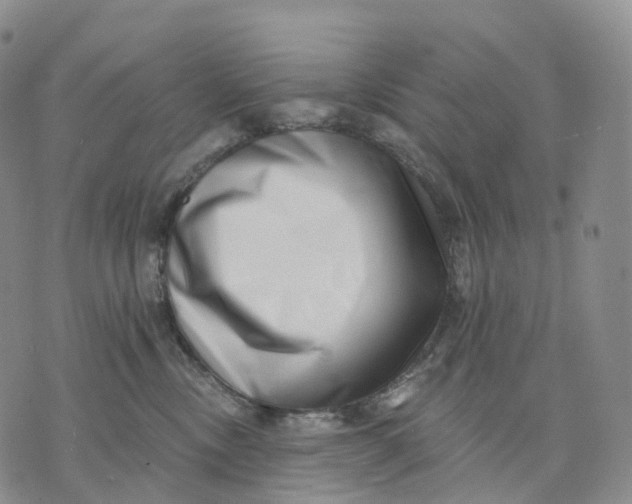 X0000074260378200609151807