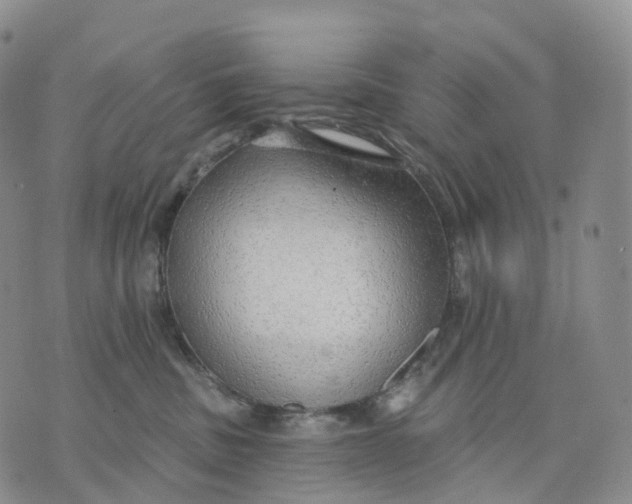 X0000074260379200609151807