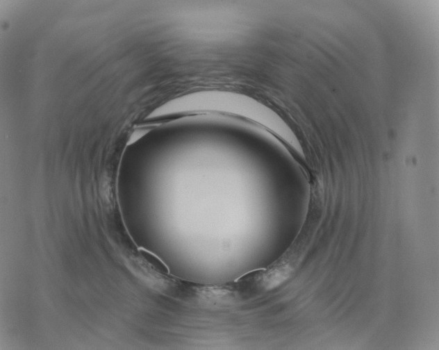 X0000074260380200609151807