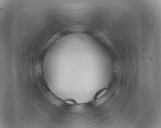 X0000074260382200609151807