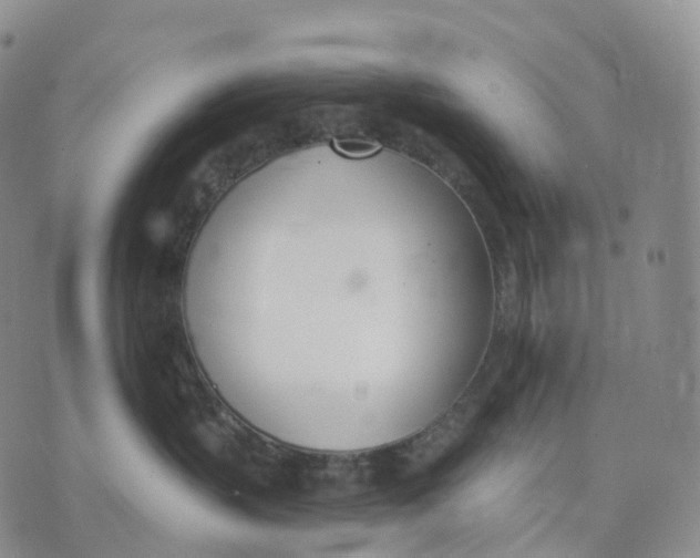 X0000074260383200609151807