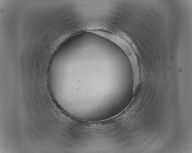 X0000074260385200609151807