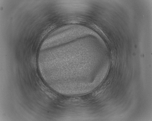 X0000074260386200609151807