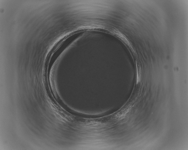 X0000074260387200609151807