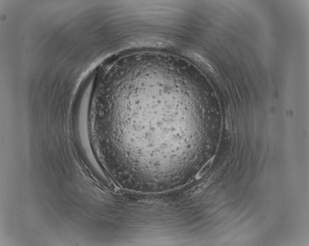 X0000074260388200609151807