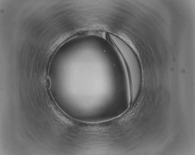 X0000074260389200609151806