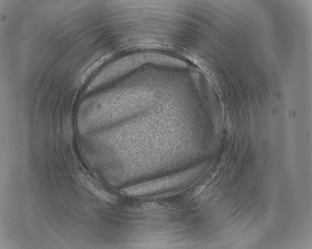 X0000074260390200609151806