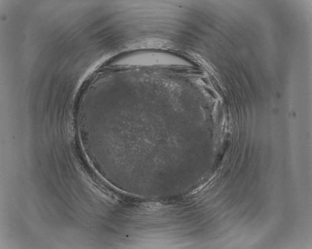 X0000074260392200609151806