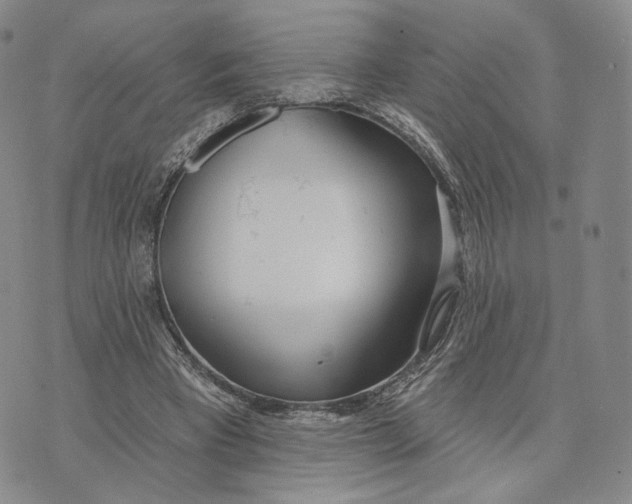 X0000074260393200609151806