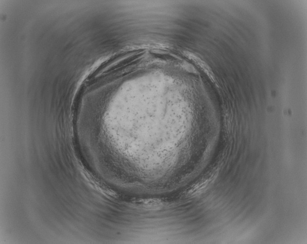 X0000074260395200609151806