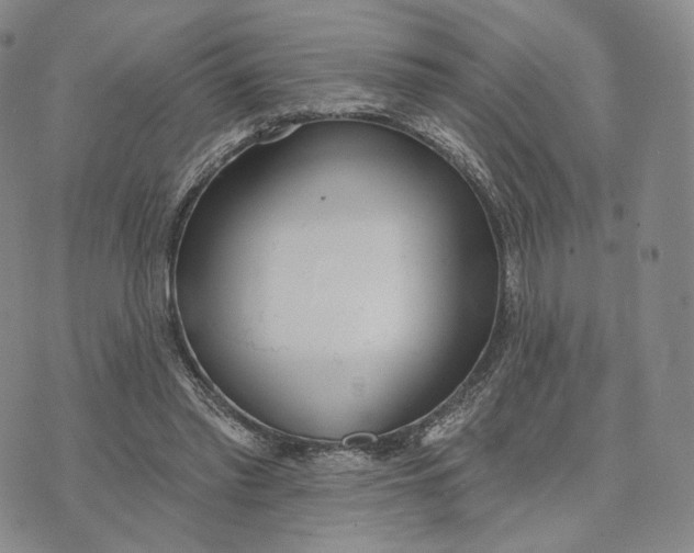 X0000074260397200609151806