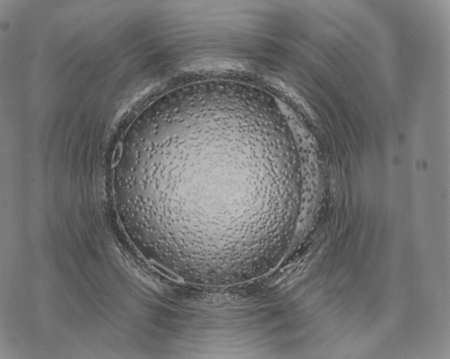 X0000074260399200609151806