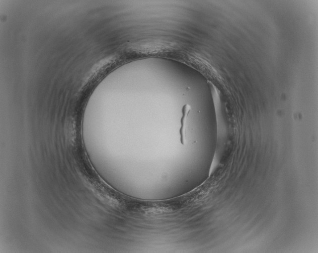 X0000074260400200609151806