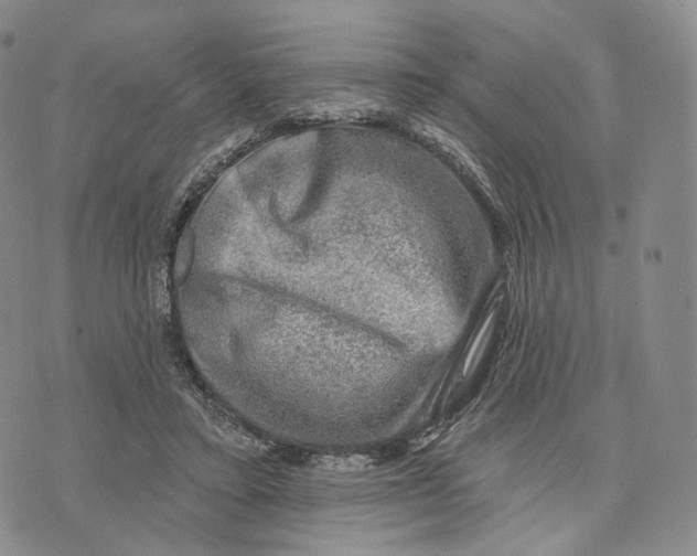 X0000074260403200609151806