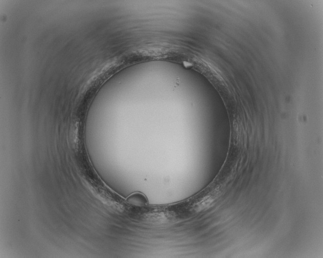 X0000074260404200609151806