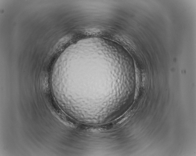 X0000074260408200609151806