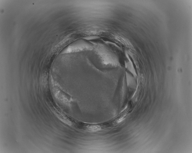 X0000074260409200609151806