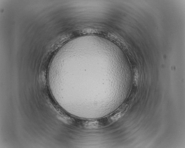 X0000074260410200609151806