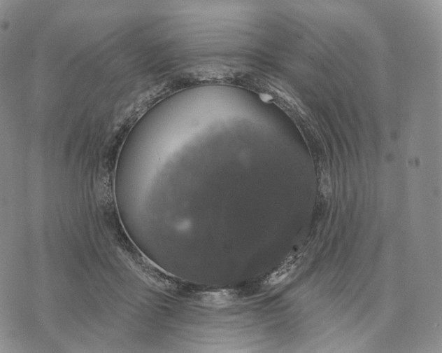 X0000074260411200609151806