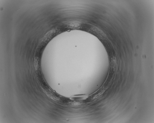 X0000074260412200609151806