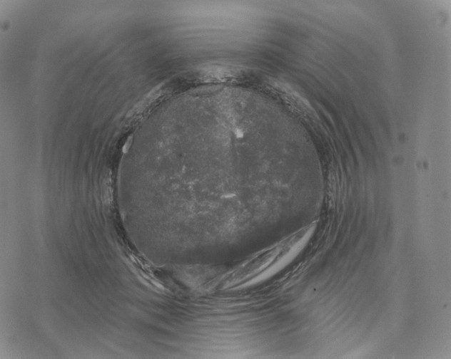 X0000074260413200609151806