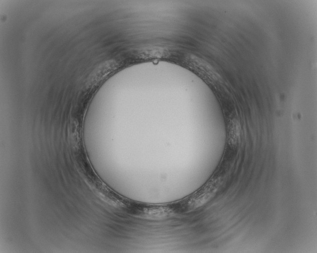 X0000074260414200609151806