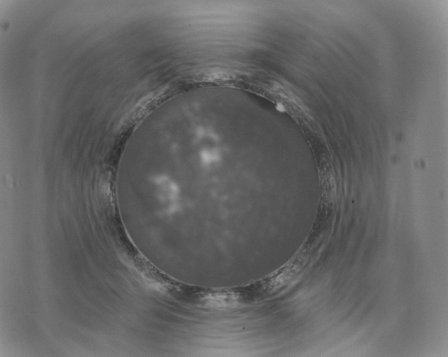 X0000074260415200609151806