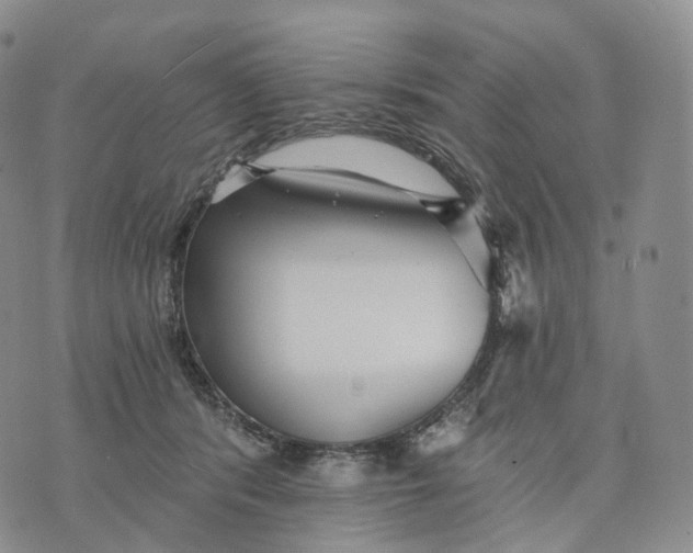 X0000074260416200609151806