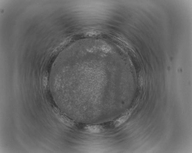 X0000074260417200609151806