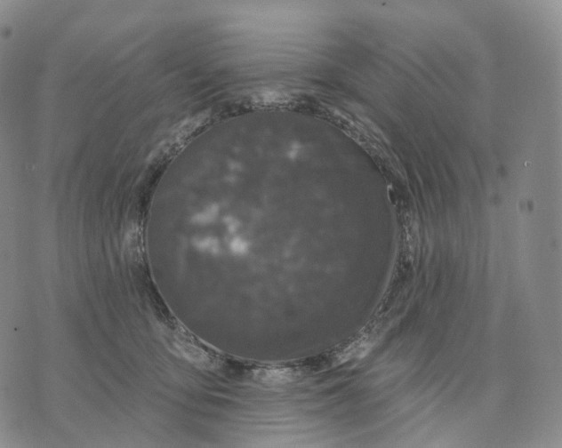 X0000074260419200609151806