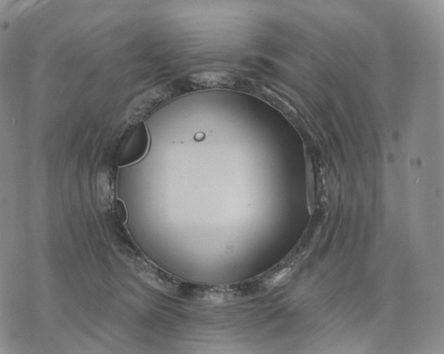 X0000074260420200609151806