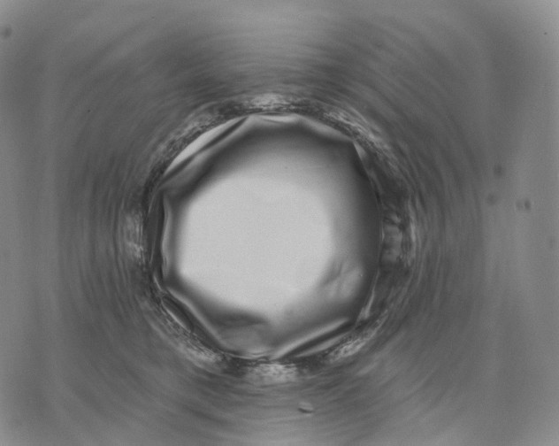 X0000074260421200609151806