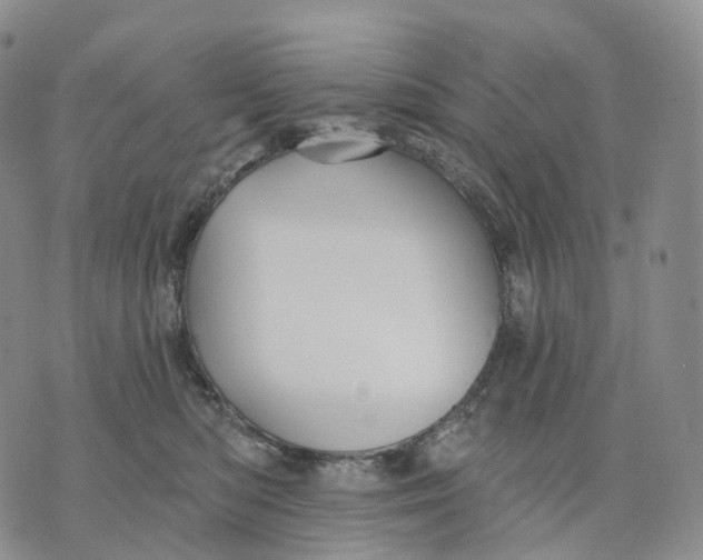 X0000074260422200609151806