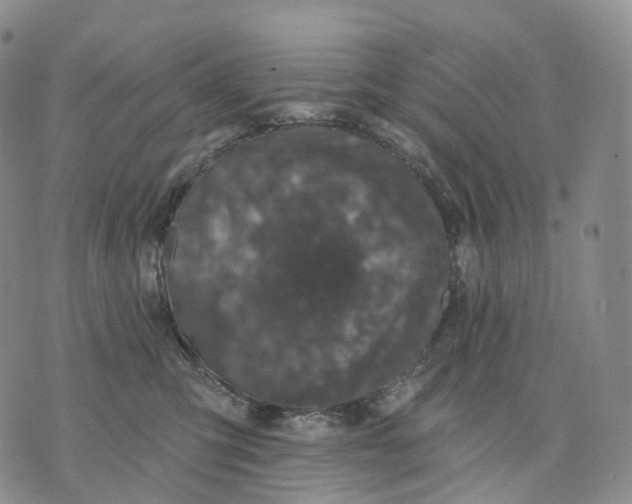 X0000074260423200609151806