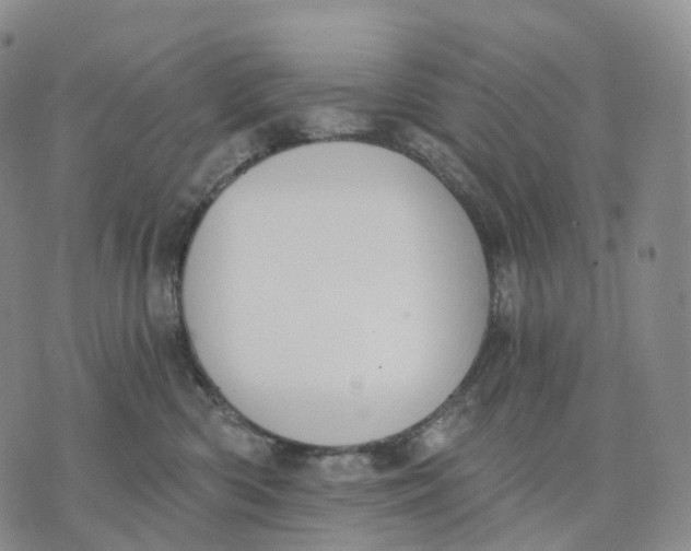 X0000074260426200609151806