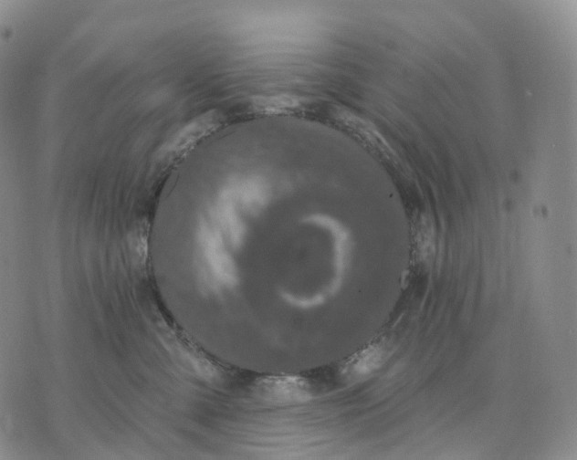 X0000074260427200609151806