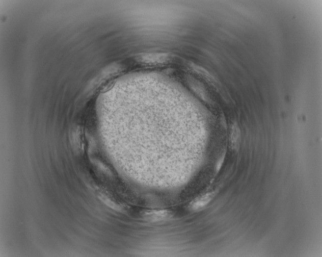 X0000074260428200609151806