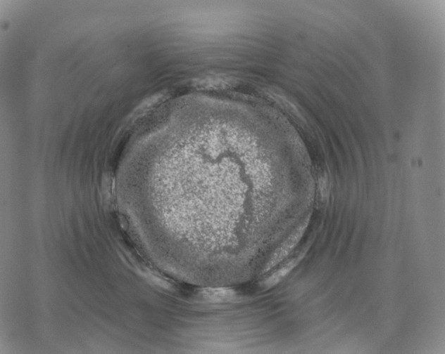 X0000074260429200609151806