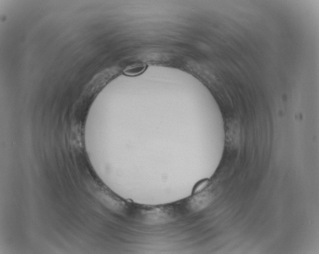 X0000074260430200609151806