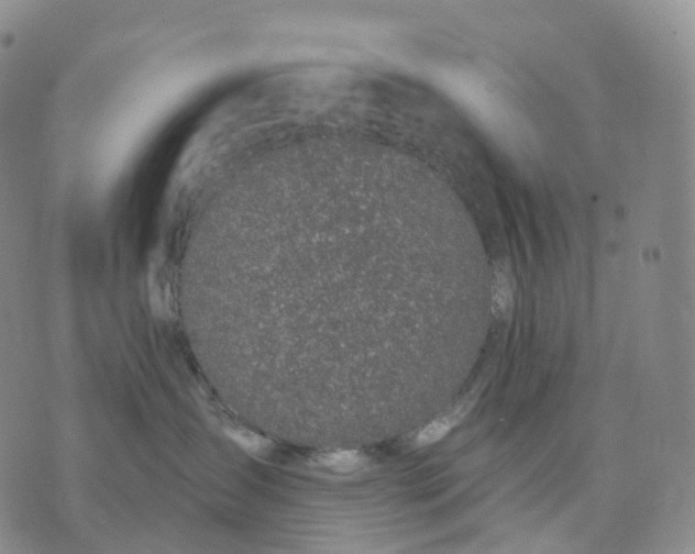 X0000074260431200609151806