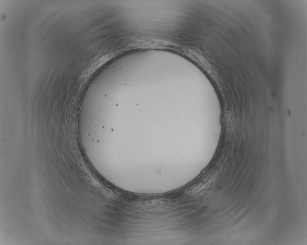 X0000074260433200609151805