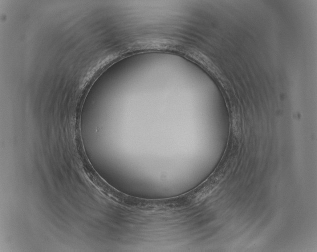 X0000074260434200609151805