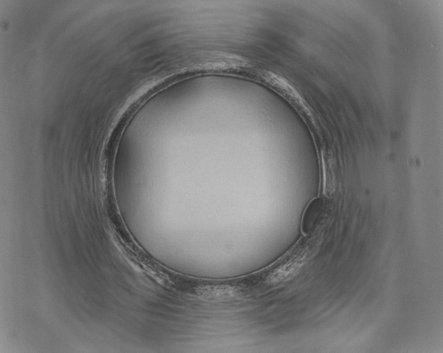 X0000074260435200609151805