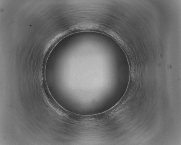 X0000074260438200609151805