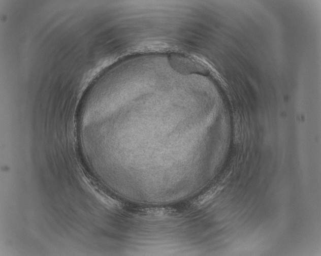 X0000074260439200609151805